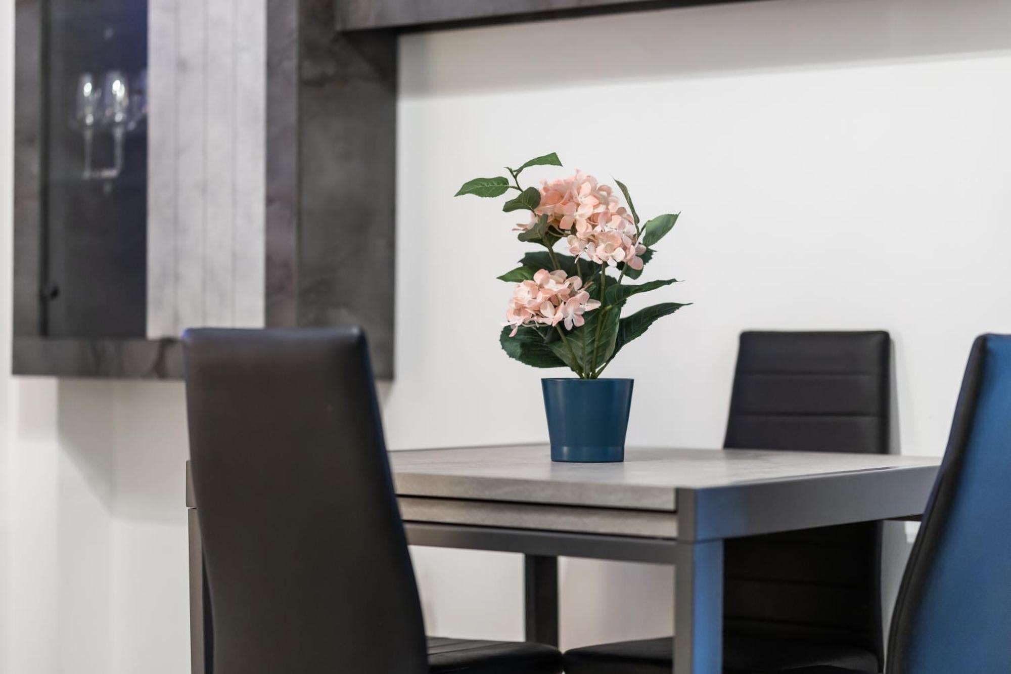 Lotus - Appartamento Sul Mare A Ostia Con Giardino Relax Εξωτερικό φωτογραφία